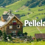 pellela